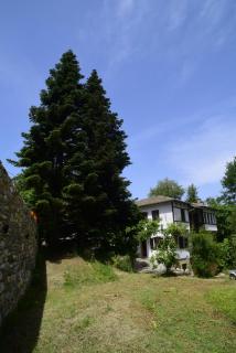 Guesthouse To kalivi - Chorefto - 4