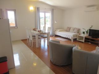 Filipovic Apartments with Pool - 1