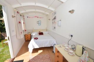 Poppy - Catfield - 6
