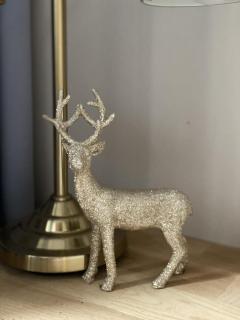 Villa Ati - Warnemünde - 1