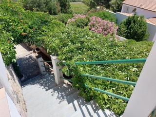 Apartament Karla - Jelsa - 1