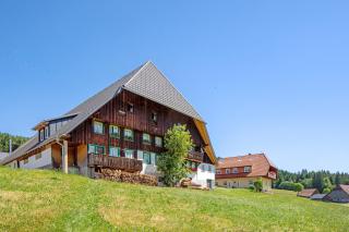Hanisenhof - Titisee-Neustadt - 8