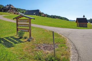 Hanisenhof - Titisee-Neustadt - 4