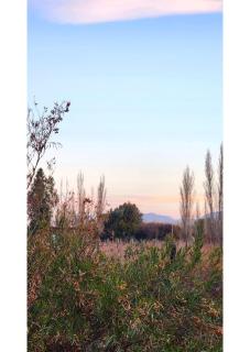 Serena Cumbre Lodge - San Rafael - 2