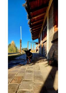 Serena Cumbre Lodge - San Rafael - 1
