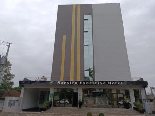 HOTEL MAESTRO EXECUTIVE PATO BRANCO - Pato Branco - 0