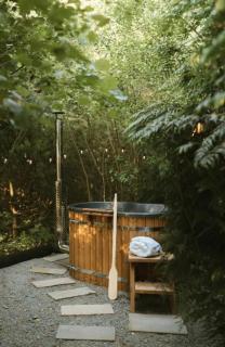 Sycamore and Stars - Grasby - 1