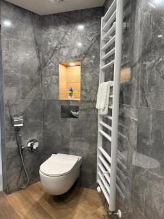 Gorna Banya luxury apartments - Sofia - 7
