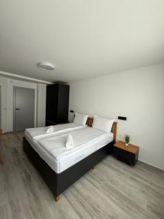 Gorna Banya luxury apartments - Sofia - 5