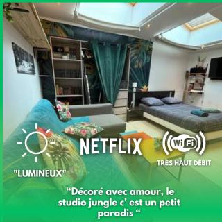 Jungle Studio - 2P à 4P -Henriville - Amiens - 0