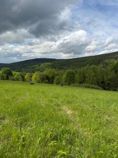Drewniany Dom Buczynowy Natura, relaks, las, Beskid Niski, góry - Wapienne - 8