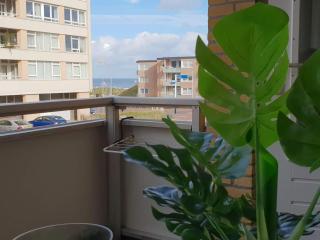 B&b aan zee - Egmond aan Zee - 3