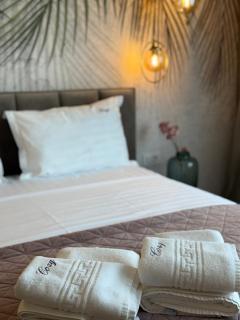 COZY Aparthotel - Luxury Studios # Brasov - 7