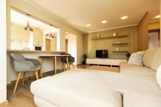 Nest Inn Honey Apartment - Baia Mare - 9