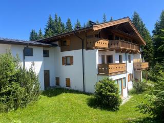 Haus Filzstein 117 Top 2 - Krimml - 2