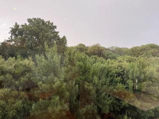 Dar Dina Havre de paix sous les cèdres d'Ifrane - Ifrane - 6