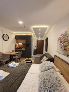 Apartments Kos - Milmari Resort - Kopaonik - 3