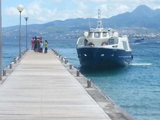 CoCoKreyol - " GRENADINE " - Les Trois-Îlets - 2