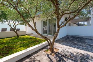 Dazlina Resort Apartments - Dazlina - 5