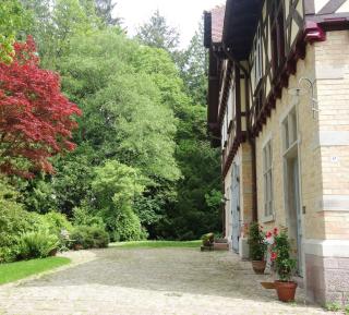 Bed & Breakfast Grünes Gold am Leisberg - Baden-Baden - 4