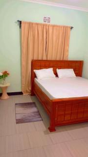 Apollo Villa homestay - Arusha - 1