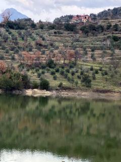 Villa Brama - - 7