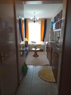 Debricks homes - Kiambu - 0