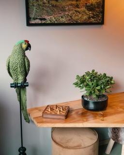 Locanda del Viandante by Heima - Faido - 2