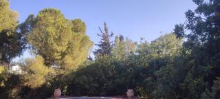 Salamina Azuro - Selínia - 3