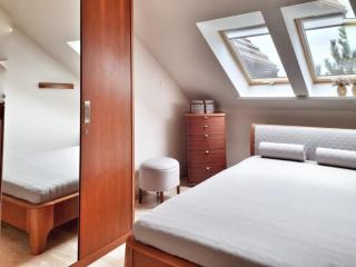 Izabelin Apartment - Zalasewo - 1