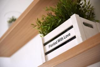 Appartamento Gardenia - Cavallino-Treporti - 2