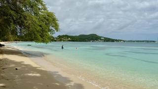 Le Maracuja - Jacuzzi privé à 2 min de la plage - Sainte-Anne - 1