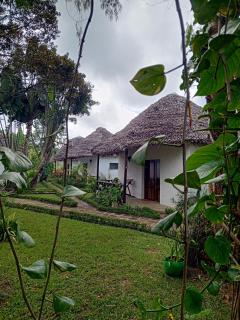 Indri Lodge - Andasibe - 2