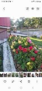 Seoski dom - Šavnik - 7