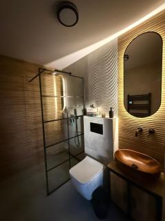 Piękne apartamenty z widokiem na góry , Sauna, kominek, darmowy parking , 5min od Zakopanego - Biały Dunajec - 1