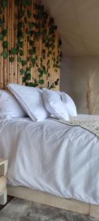Sukha Resort - La Calera - 3