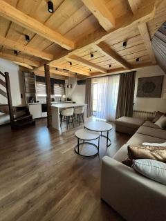 Olczańskie Vierchy Apartamenty - Bukowina Tatrzańska - 0