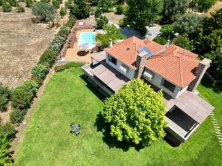 Villa Polyxeni Magnolia 150m from the sea - Politika - 6