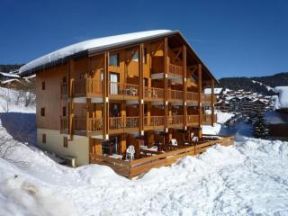 Bel appartement 2 pièces cabine - 4 pers, terrasse, proche piste, Les Saisies - FR-1-293-340 - 1