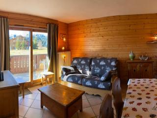 Les Saisies: Appt 3P, 2 SDB, Terrasse, 6 pers - FR-1-293-369 - Hauteluce - 0