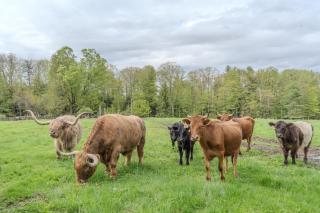 A - Farmhouse Apartment on Miles Smith Farm - 9