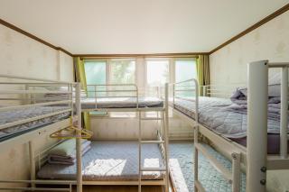 Panda Guesthouse - 6