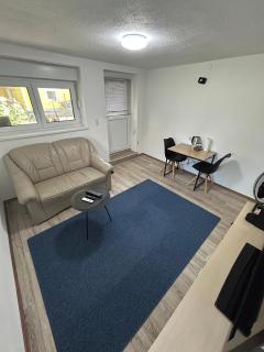 BeKoLu Rhein Apartment Lustenau - Lustenau - 6