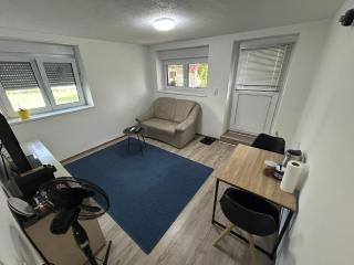 BeKoLu Rhein Apartment Lustenau - Lustenau - 7