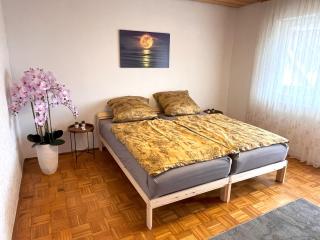 Idyllische Ferienwohnung Bauernhof - Ebersdorf bei Coburg - 5