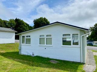 Dart Dream - Dartmouth - 5
