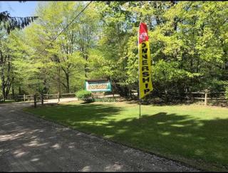 Primitive Camp Sites - Gaines - 9