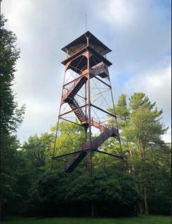 Primitive Camp Sites - Gaines - 8