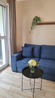 Apartament Dębowy z miejscem parkingowym - Toruń - 7