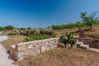 Il Sughereto In Vigna - Aglientu - 4
